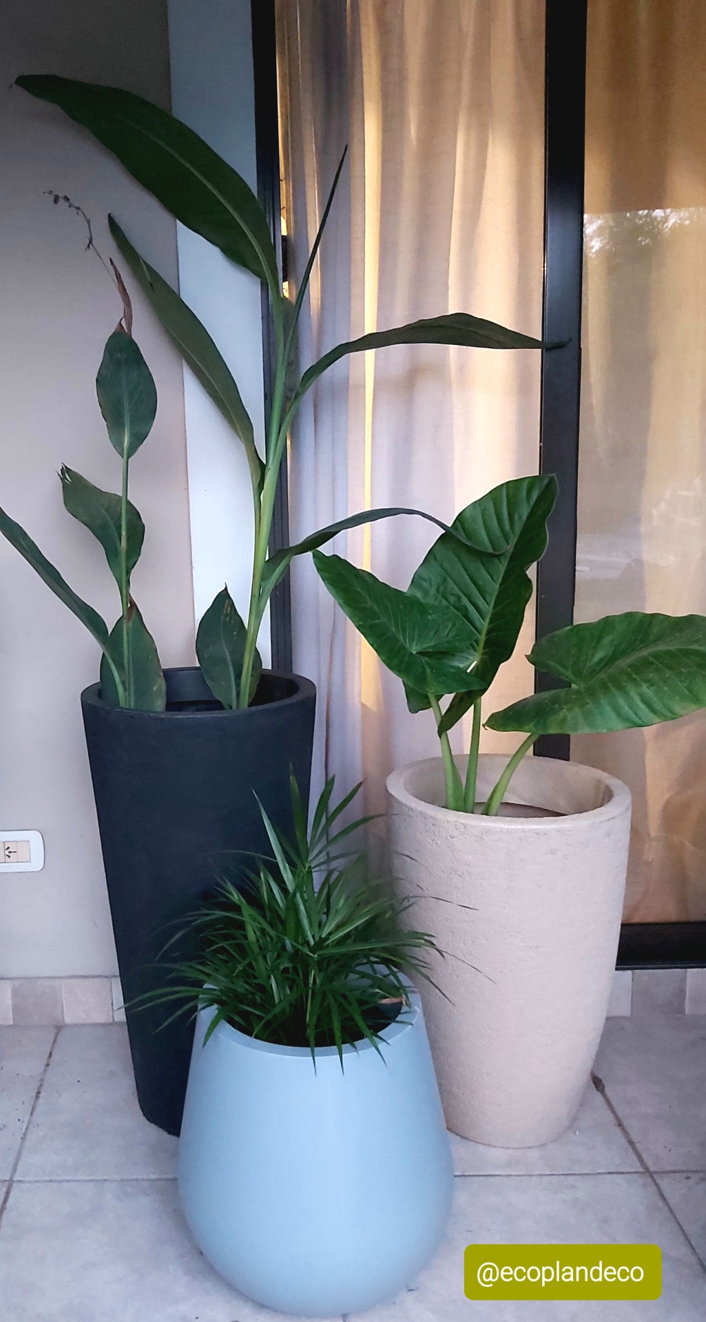 Espacio interior con jardín vertical