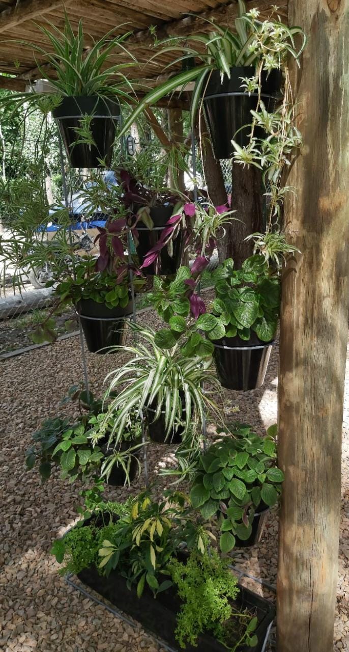 Jardines y Huertas Verticales